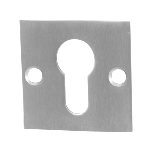 GPF0902.08 cilinderrozet 50x50x2mm RVS geborsteld