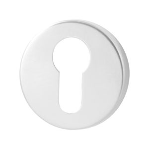 GPF0902.40 cilinderrozet 50x8mm RVS gepolijst