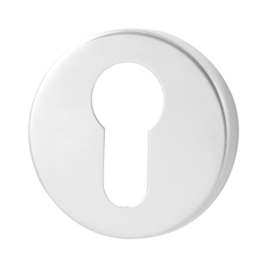 GPF0902.45 cilinderrozet 50x6mm RVS gepolijst