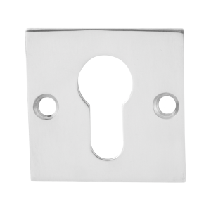 GPF0902.48 cilinderrozet 50x50x2mm RVS gepolijst