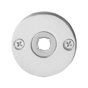 GPF1100.46 rozet 50x2mm RVS gepolijst