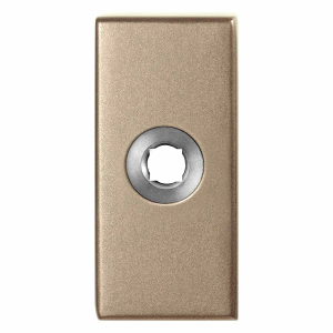 GPF1101.A4 R rozet rechthoekig 70x32x10 mm Champagne blend rechts draaiend