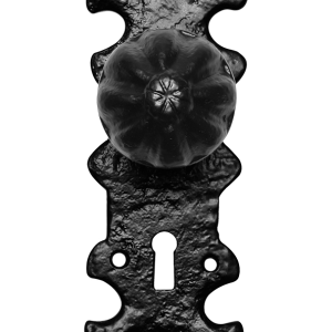 KP1211 knop 50mm op schild 203x63mm PC55 vast