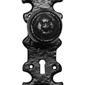 KP1212 knop 50mm op schild 203x63mm PC55 draaibaar